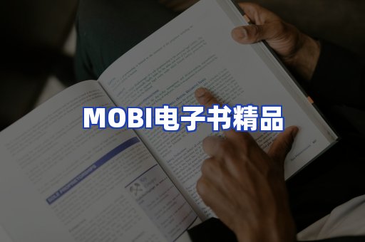 外文电子书产品